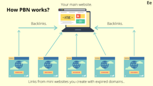 how pbn works in new domain vs expired domain