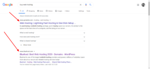buy-web-hosting-Google-Search