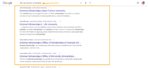 Site-edu-external-“scholarships”-Google-Search